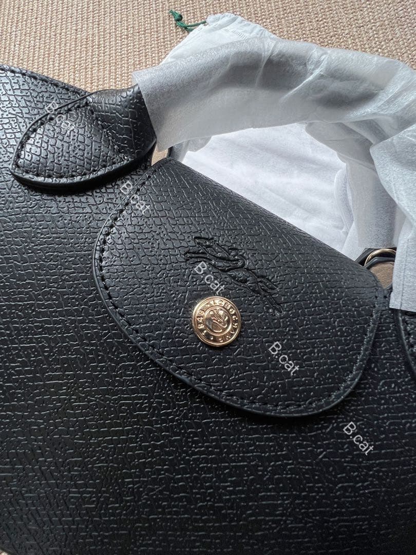 Cactusプロフィ必読