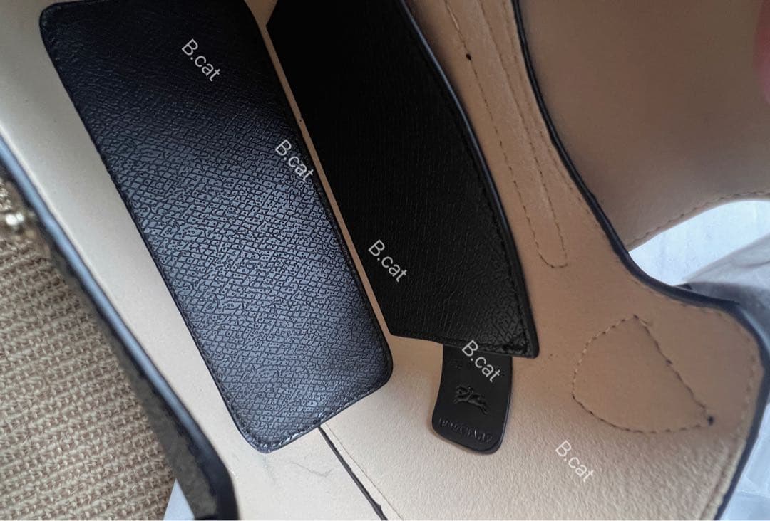 Cactusプロフィ必読