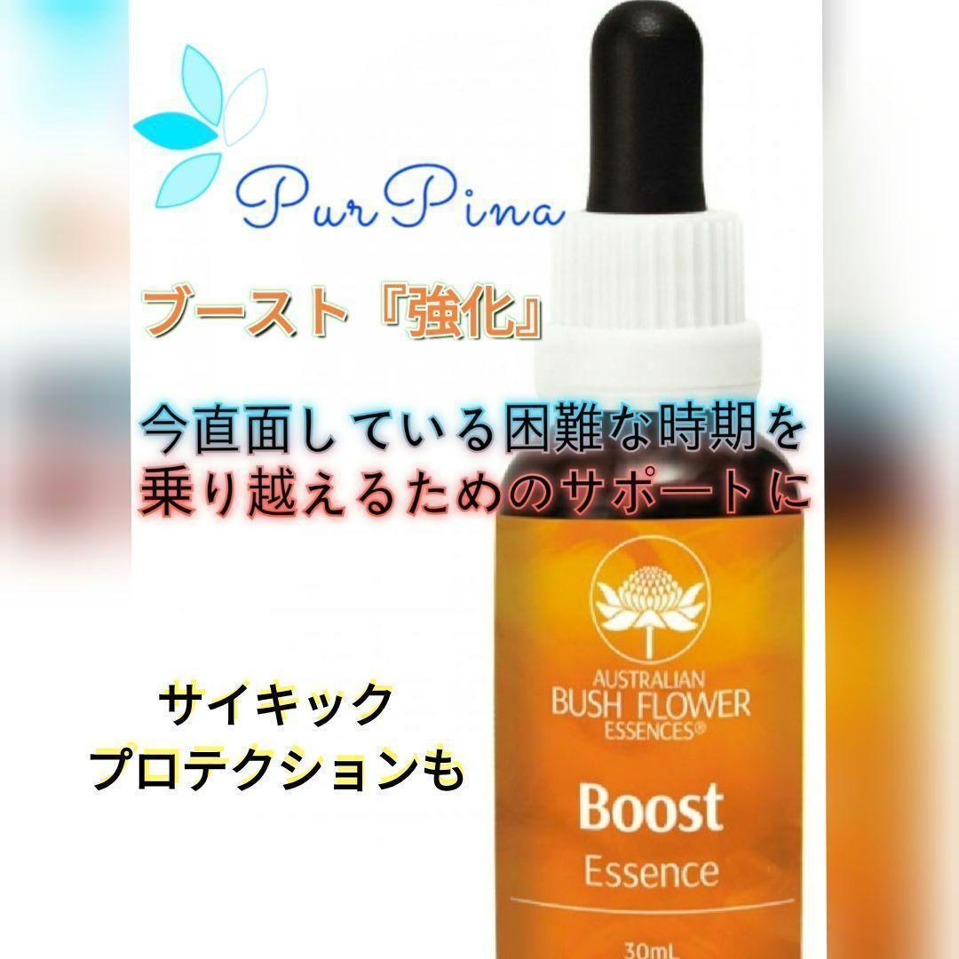 【専用】ケアラー『介護者』 オーストラリアンブッシュ フラワーエッセンス　他