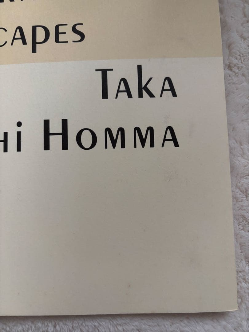 ホンマタカシ Architectural Landscapes 1冊、DM1部