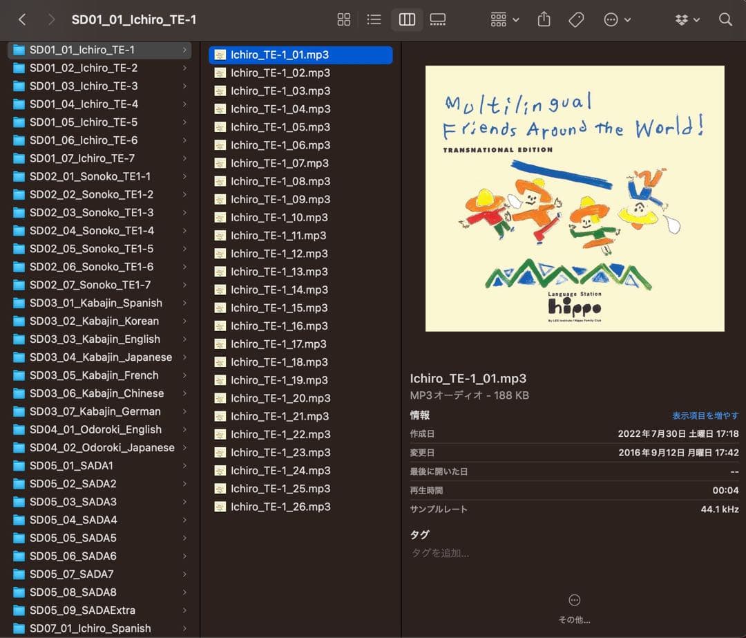 ヒッポファミリークラブ スタンダードプラス SDカード SD10 1枚