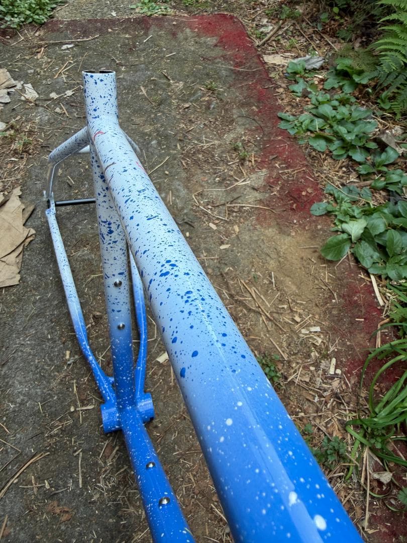 Crust bikes Evasion Lite クラスト エバージョンライトS