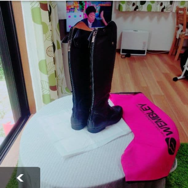 乗馬　即購入大歓迎！今日限定！