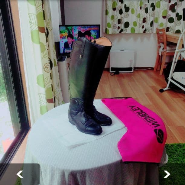 乗馬　即購入大歓迎！今日限定！