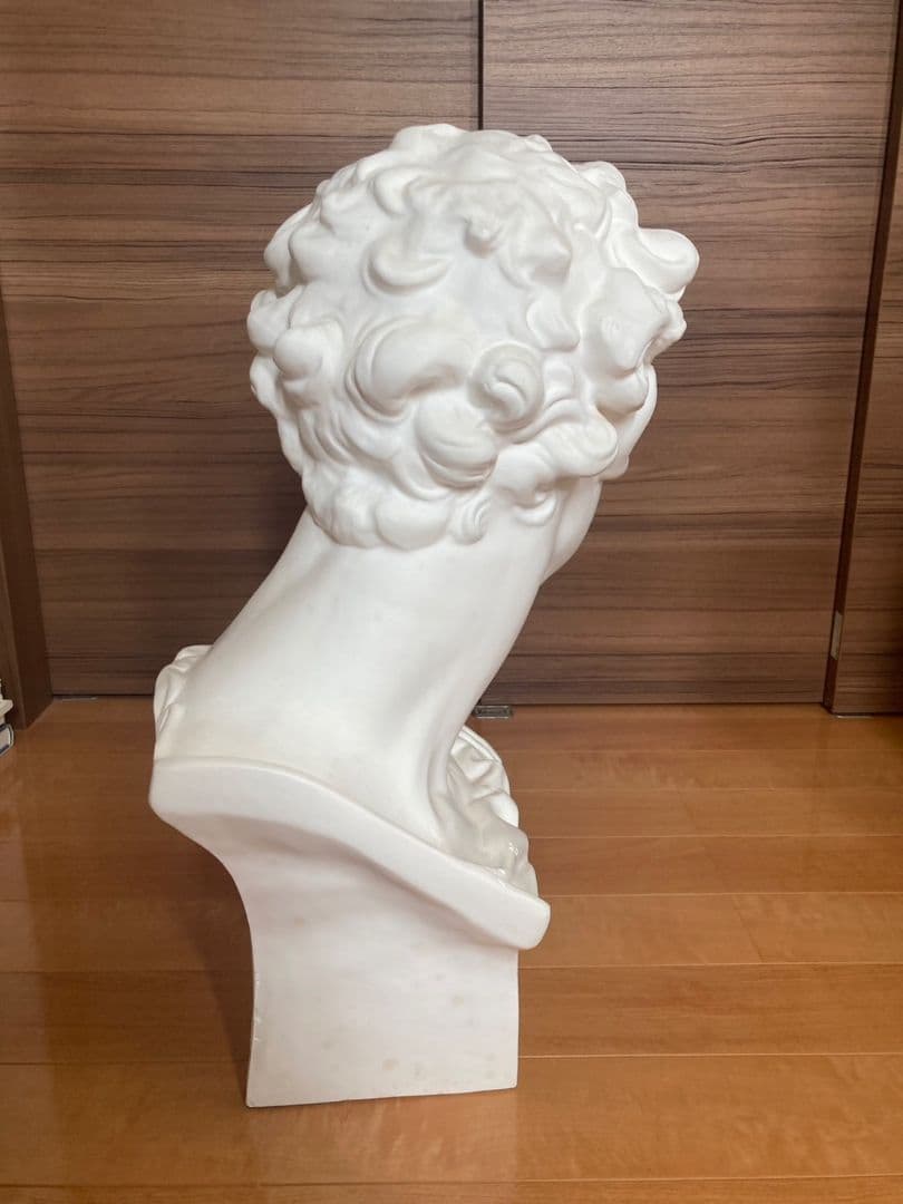 メディチ石膏像　　デッサン首像