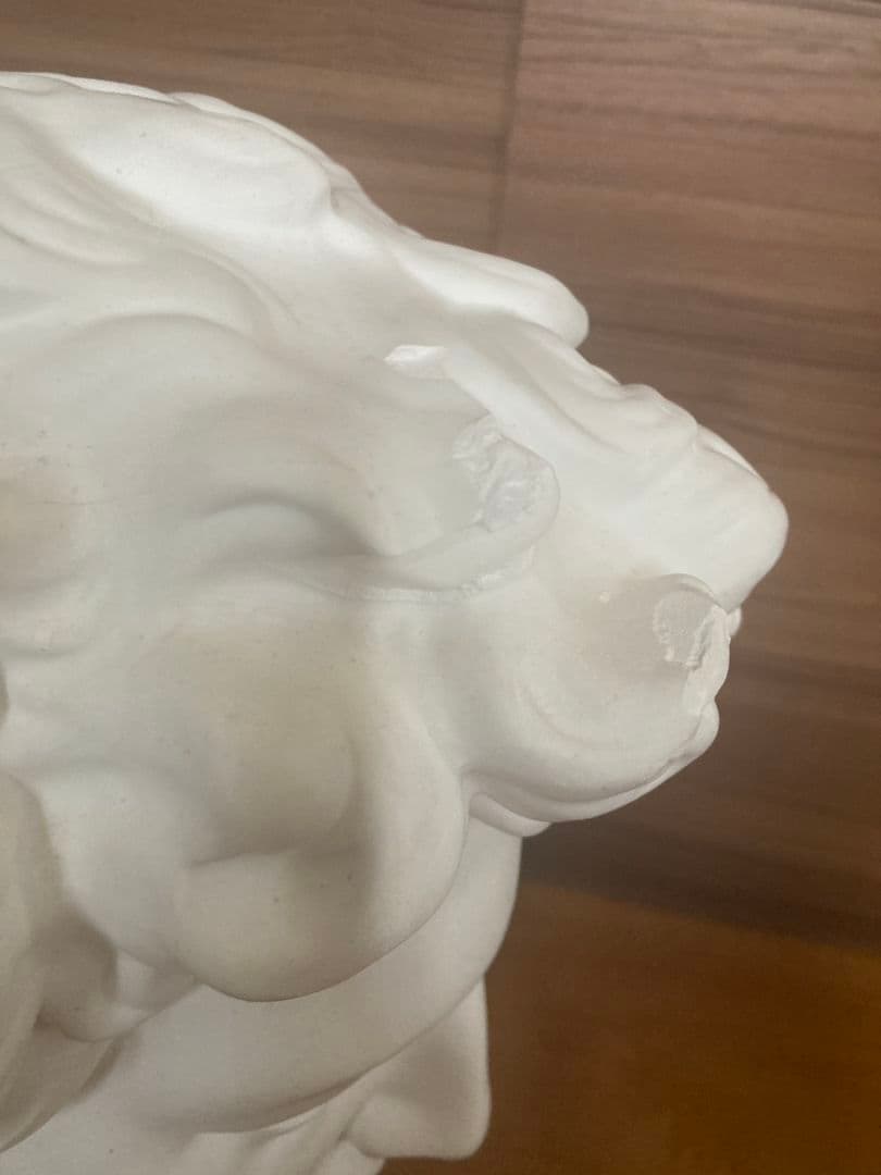 メディチ石膏像　　デッサン首像