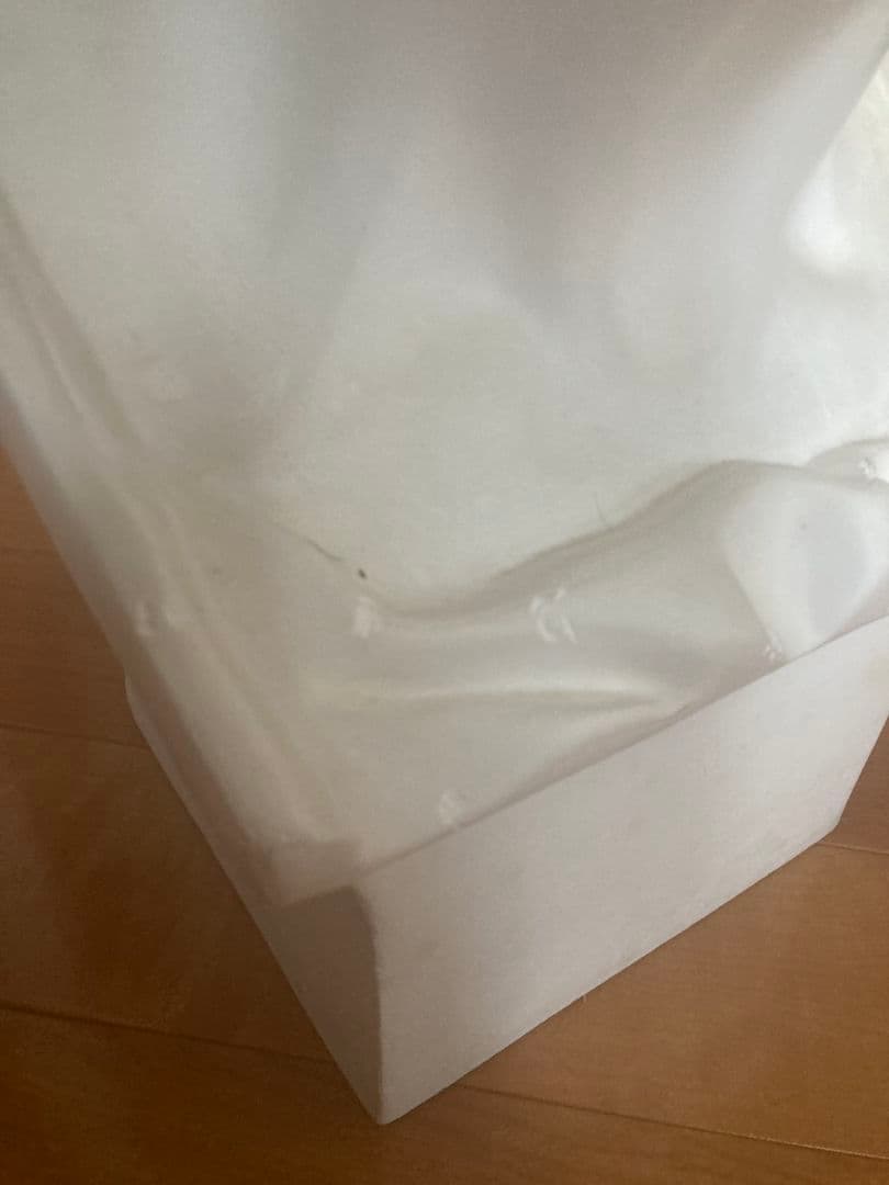 メディチ石膏像　　デッサン首像