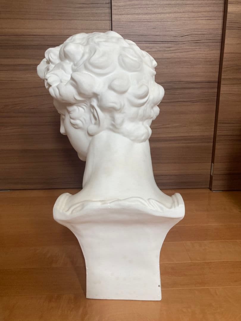 メディチ石膏像　　デッサン首像