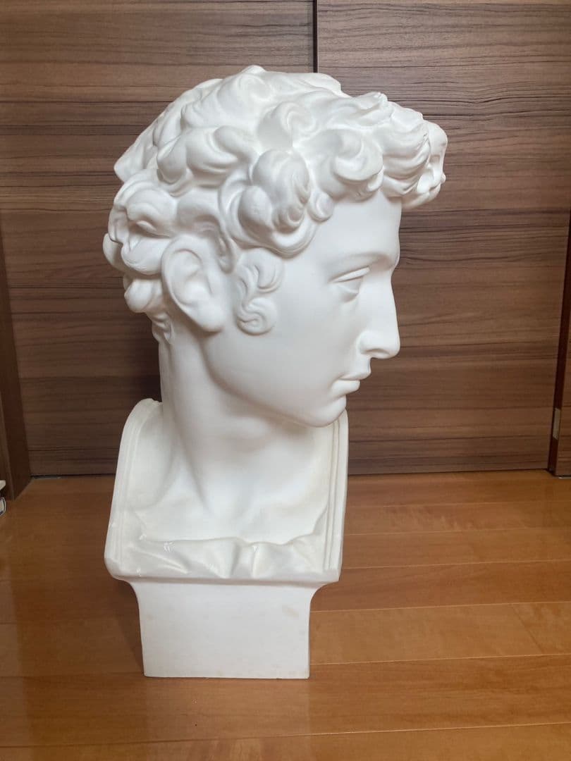 メディチ石膏像　　デッサン首像