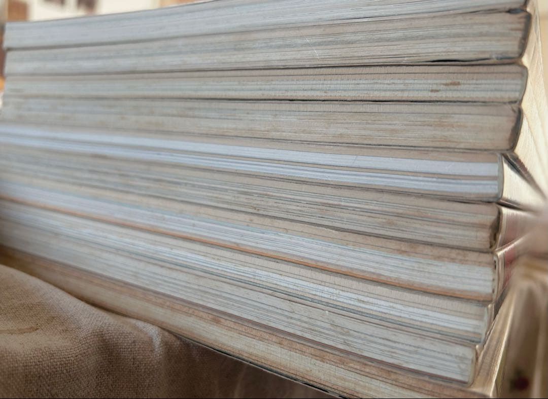 イメージの博物誌 10冊セット 平凡社 神秘学 本　錬金術　占星術　密教　龍