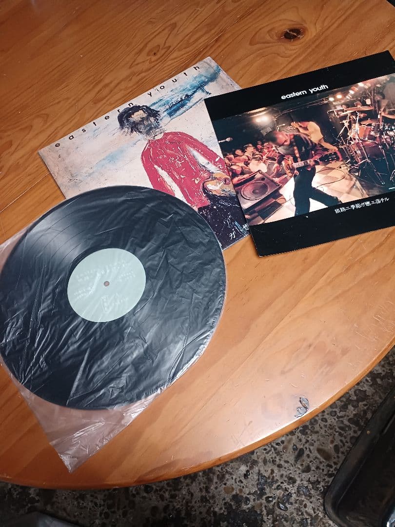 イースタンユース　レコード　旅路ニ季節ガ燃エ落チル　eastern youth