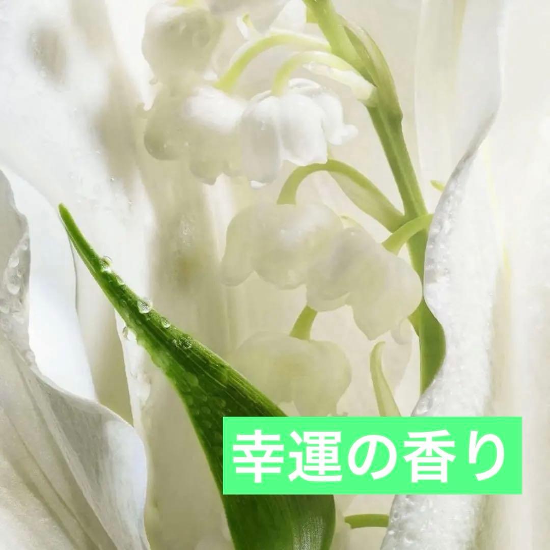 メゾンクリスチャンディオール　ラッキー　正規品　フィルム未開封新品　40ml