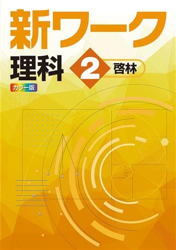 【新品未使用 中２セット】新ワーク 改定最新版