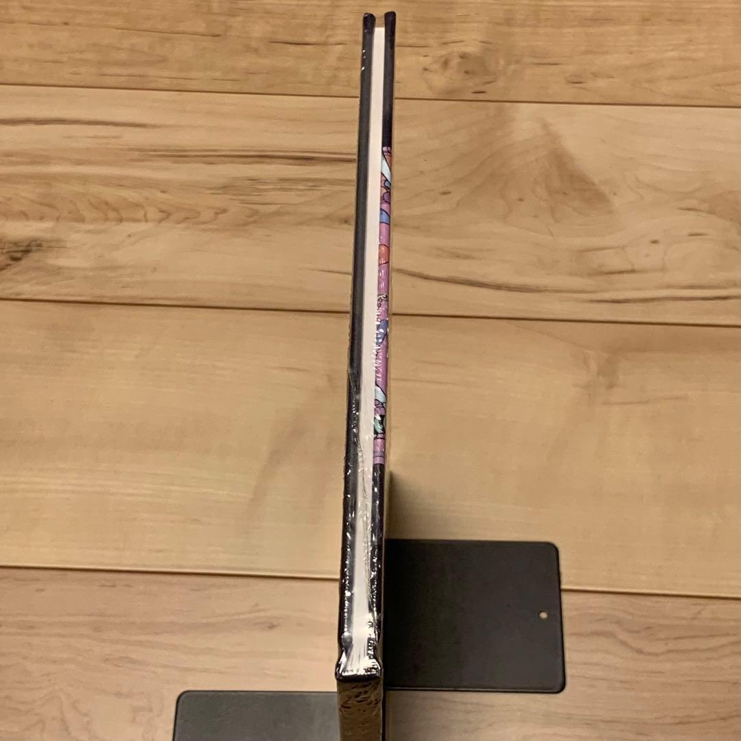 新品未開封MOEBIUS メビウスDER MANN VON DER CIGURI