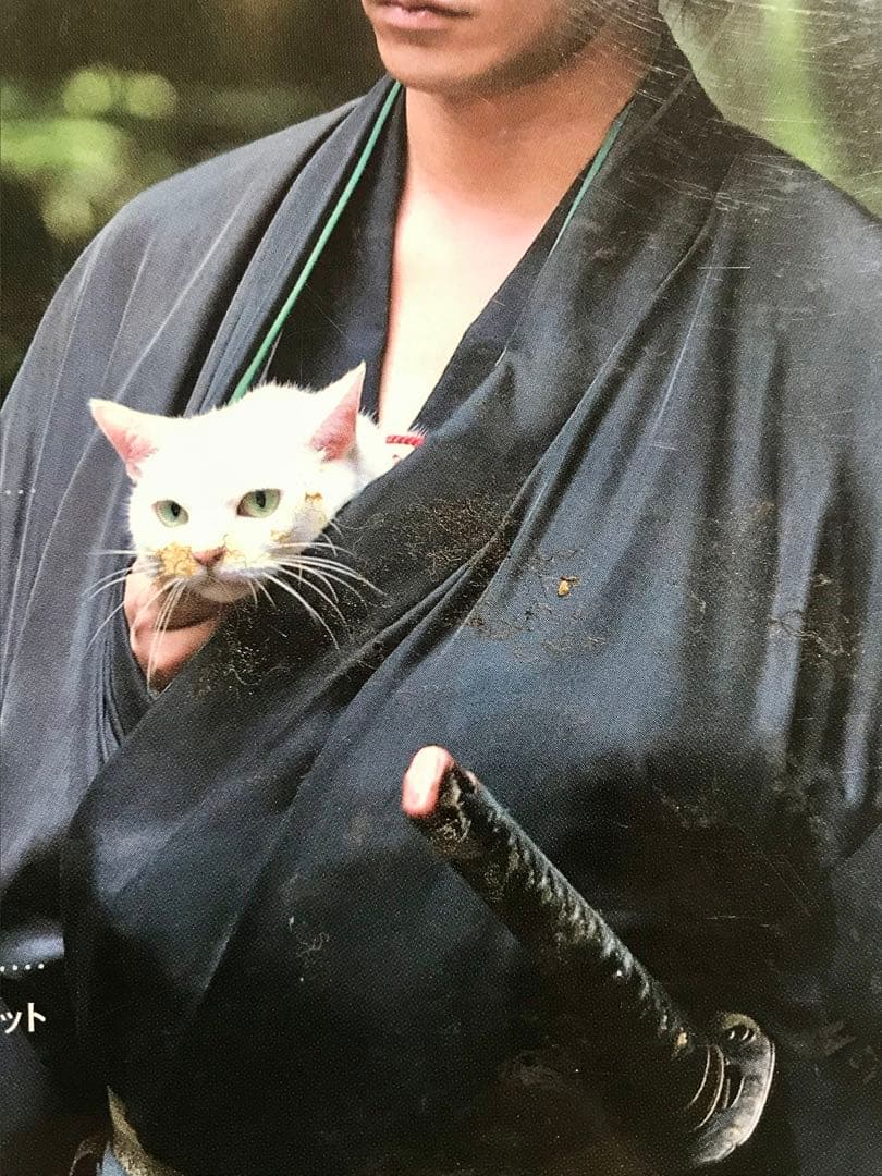 【動作確認済】猫侍　season 1 &劇場版1・2 DVD-BOX サンプル版