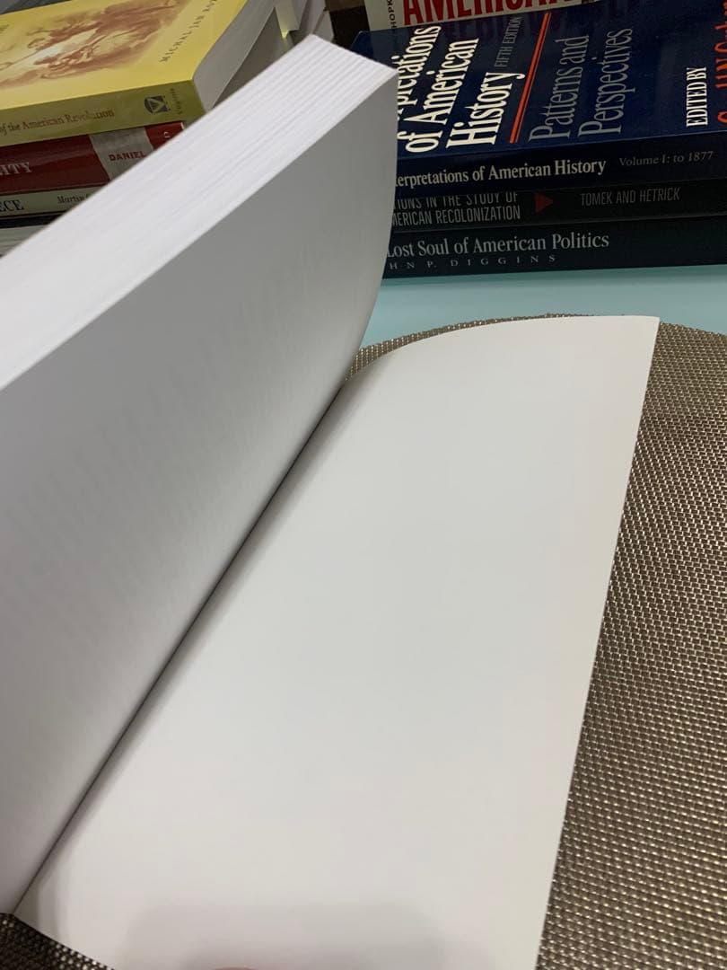 洋書 A New Introduction to American Studies