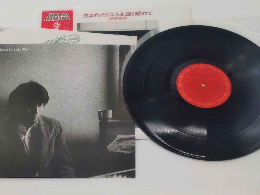 浜田省吾 レコードセット