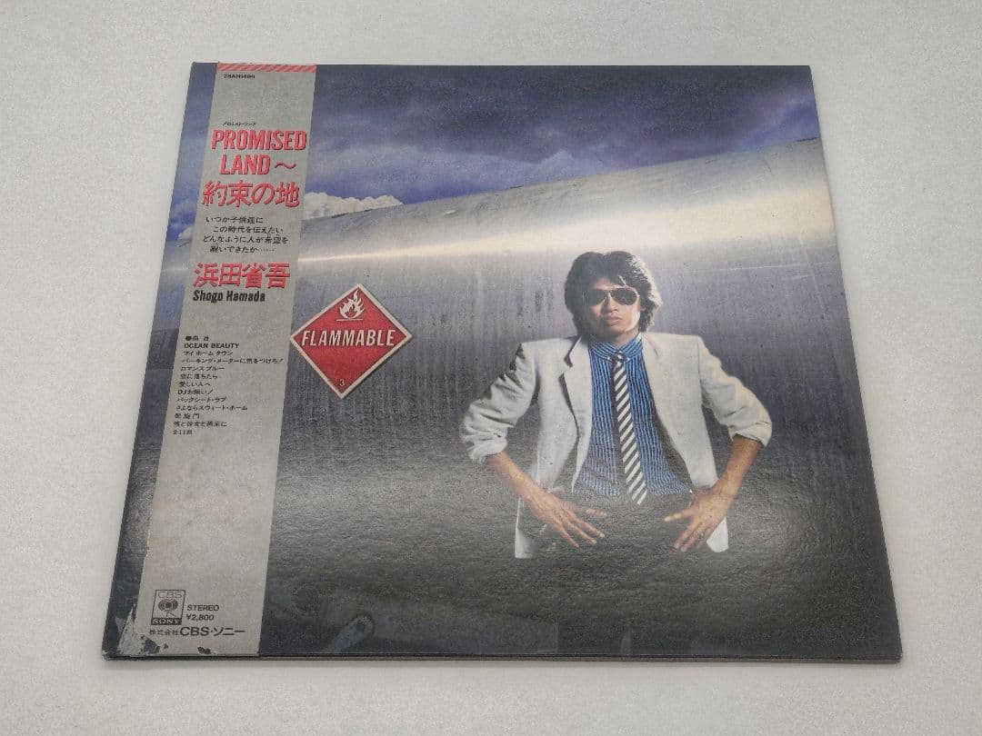 浜田省吾 レコードセット