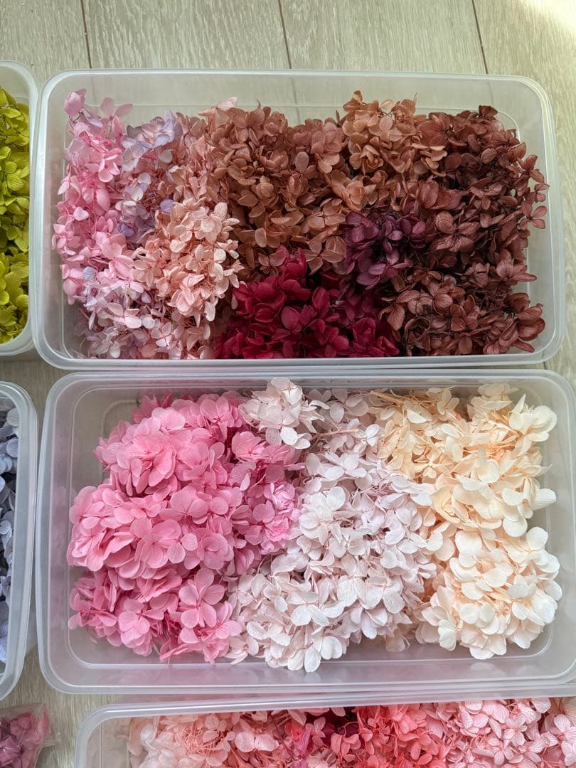 minc.さん専用 プリザーブドフラワー　まとめ売り