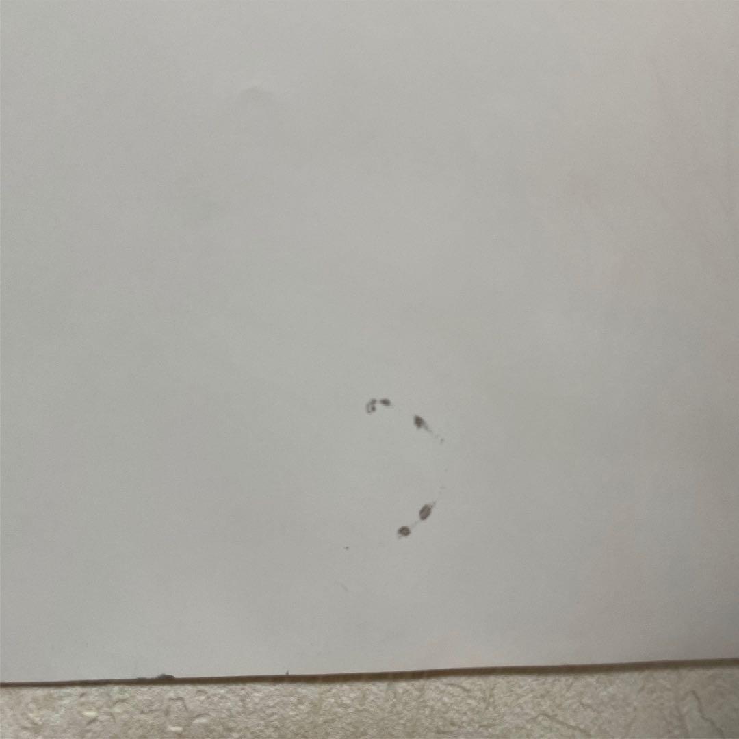 THERAMPAGE メンバー全員 直筆サイン