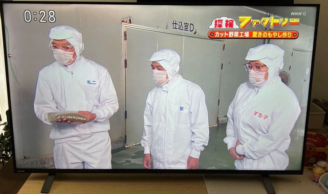 TOSHIBA REGZA 55C350X 大画面　テレビ