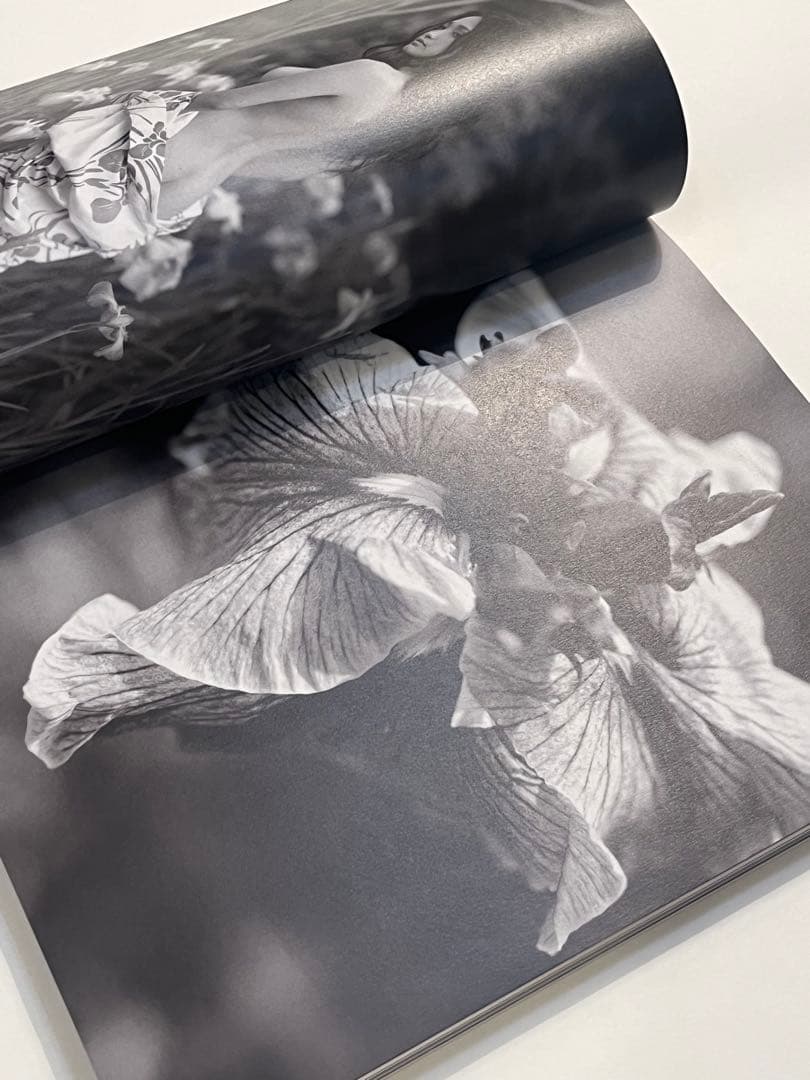 希少　PARADIS #3 2007/08 purple fashion