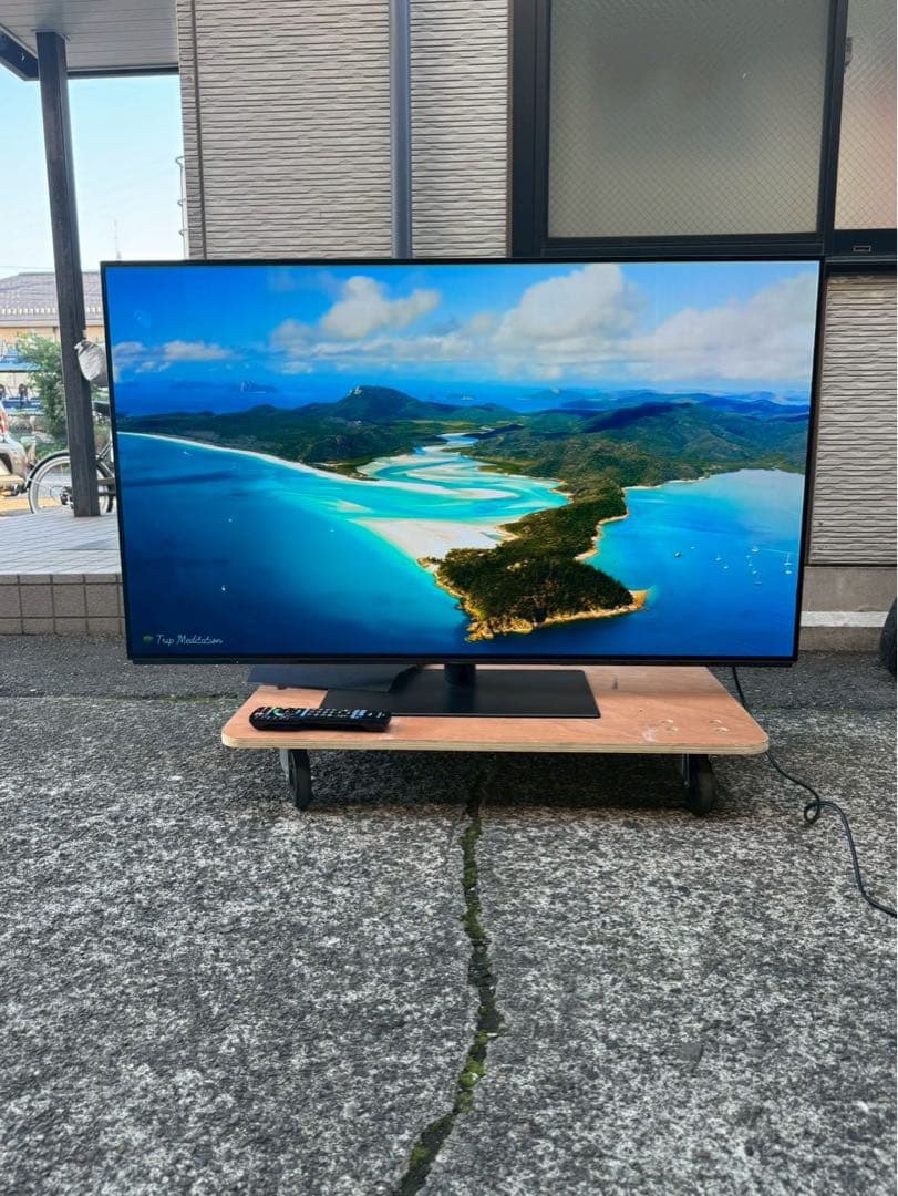 Panasonic/有機ELテレビ/TV/55V2019年　TH-55FZ950