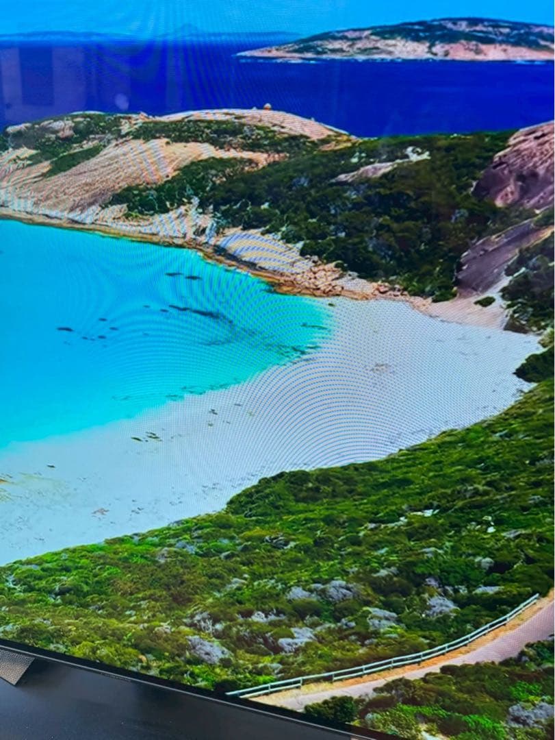 Panasonic/有機ELテレビ/TV/55V2019年　TH-55FZ950