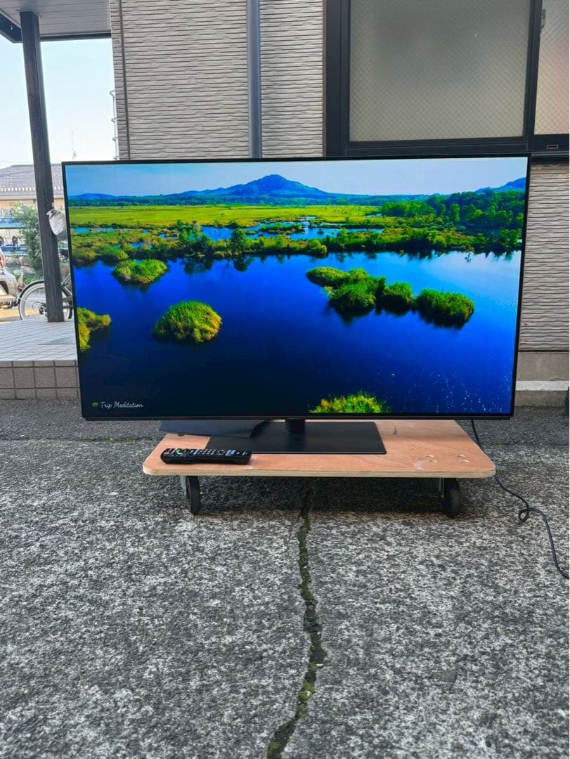 Panasonic/有機ELテレビ/TV/55V2019年　TH-55FZ950