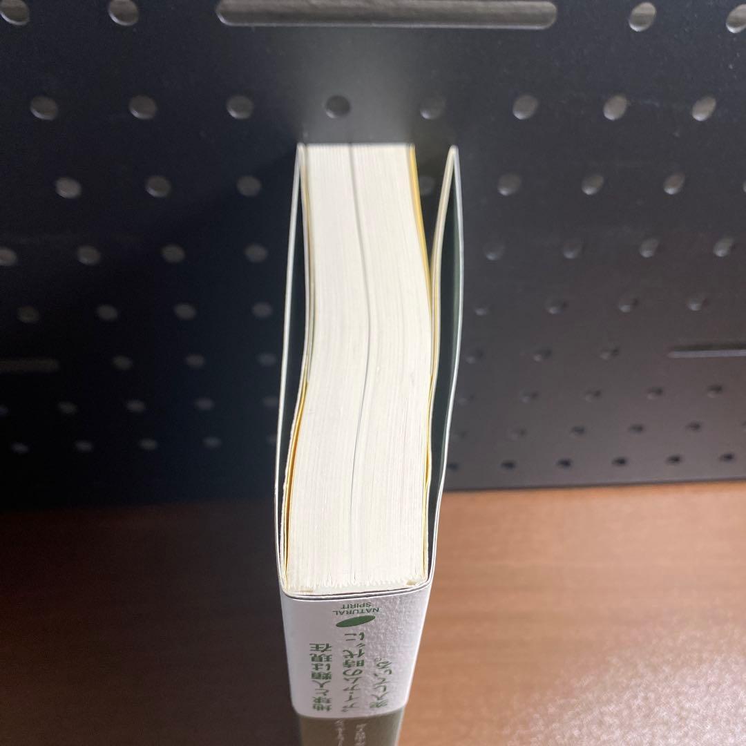 マスター・サン・ジェルマンの教え