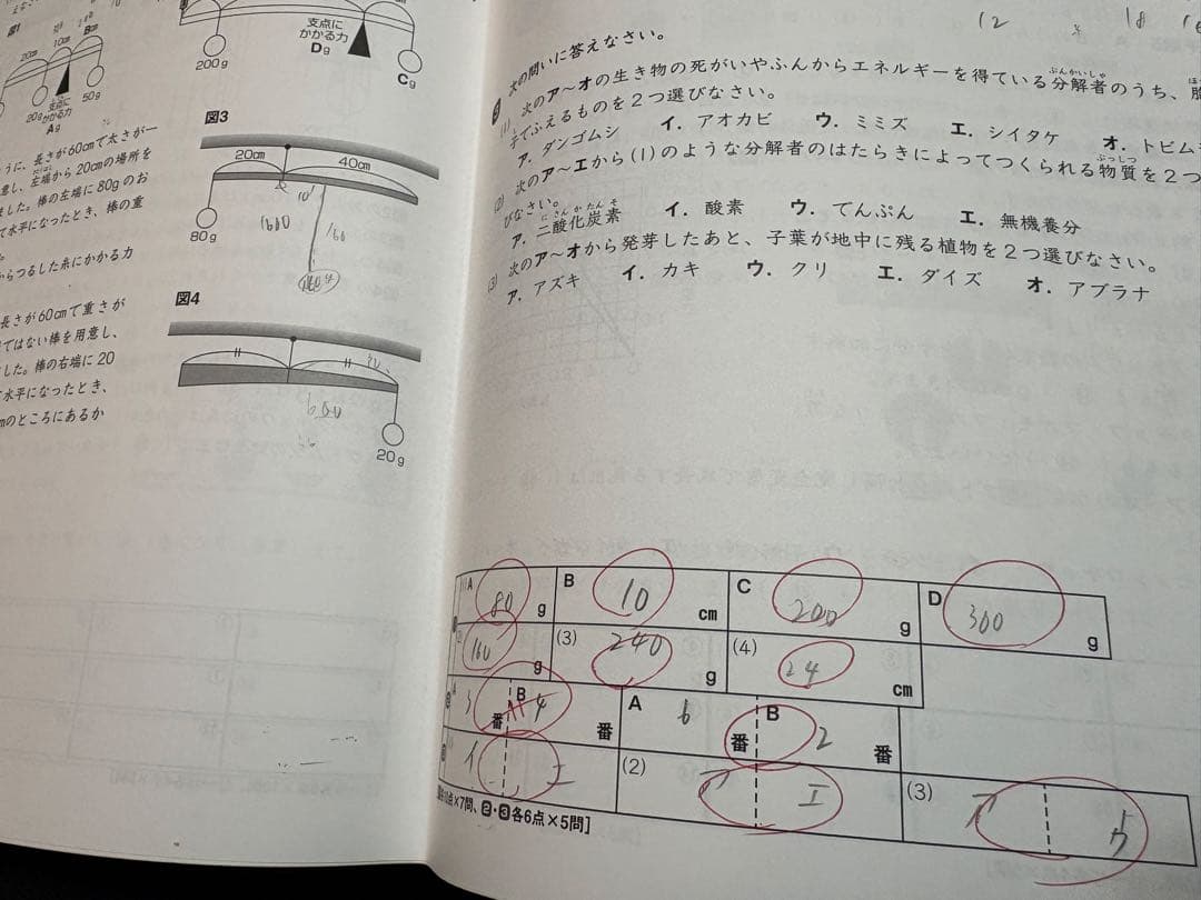 ひろ　サピックス 5年 テキスト 1年分