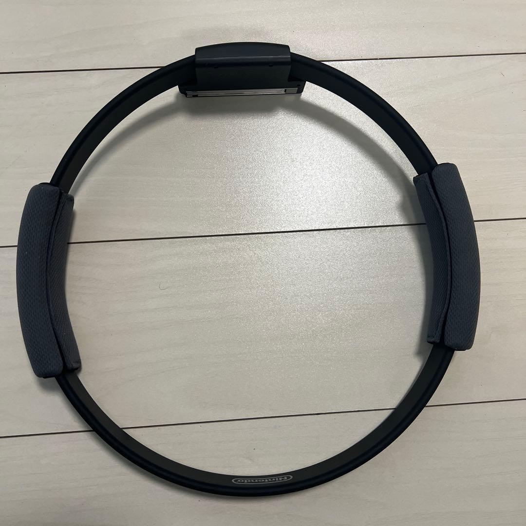 Nintendo Switch Lite グレー 本体 付属品セット