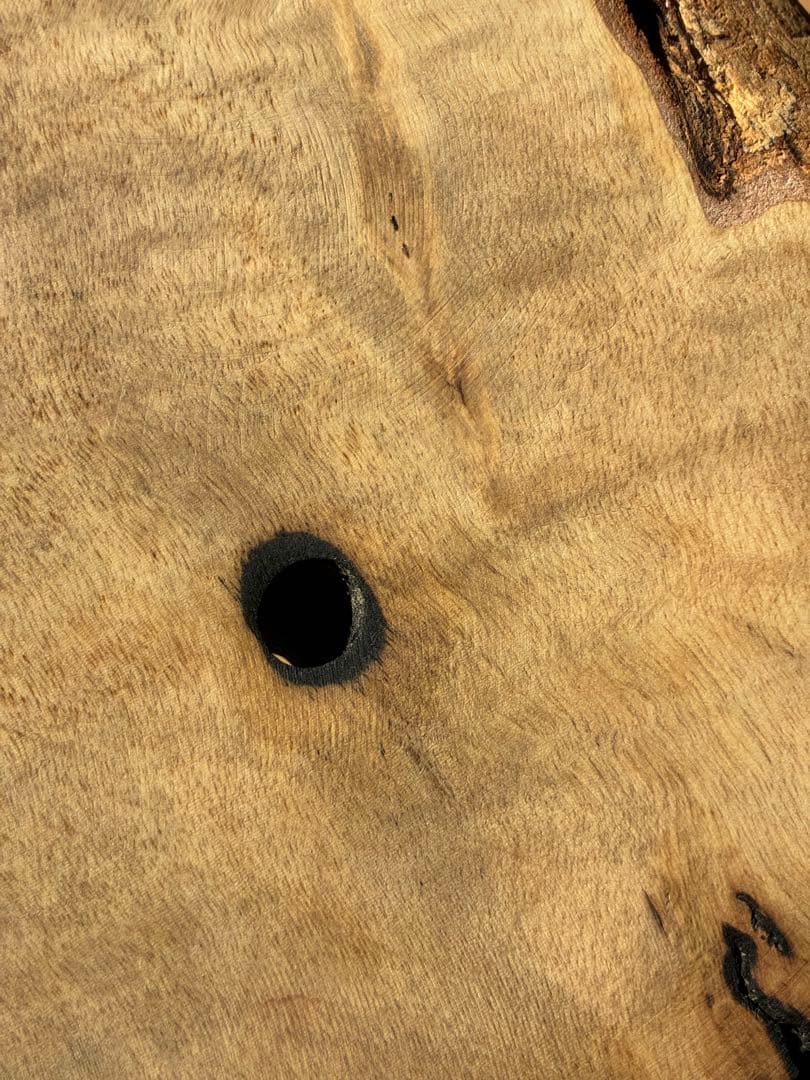 【希少】国産 黒柿（くろがき）無垢一枚板 サイドテーブル（訳あり）