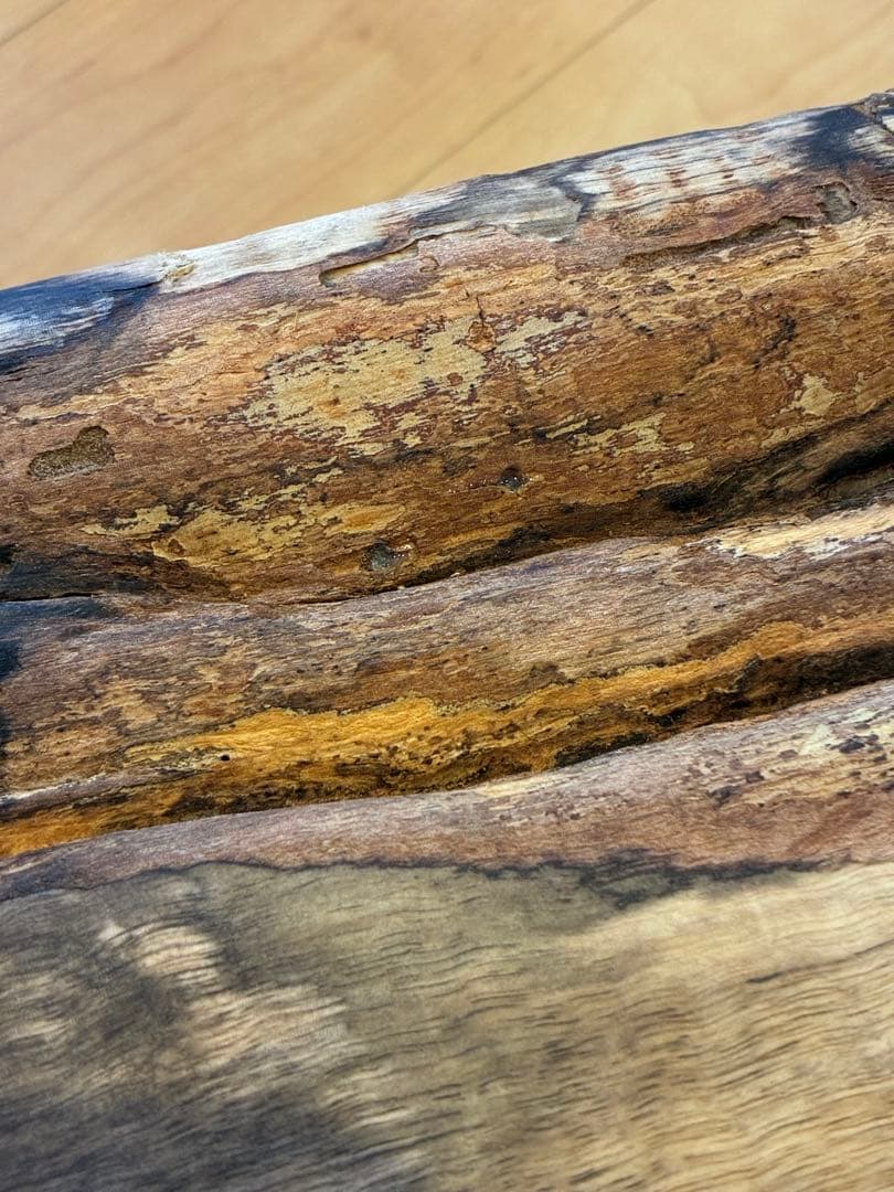 【希少】国産 黒柿（くろがき）無垢一枚板 サイドテーブル（訳あり）