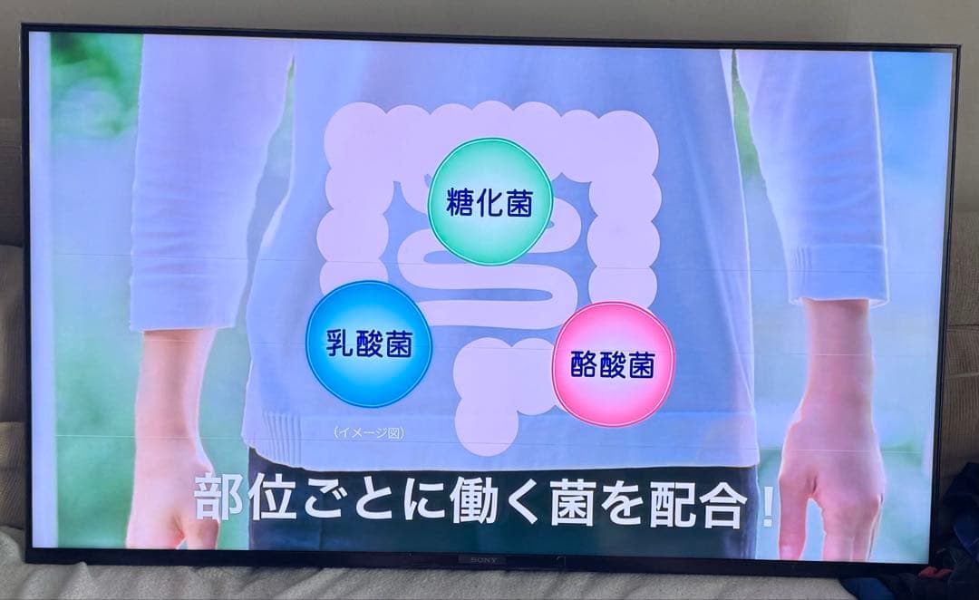 【ジャンク】ソニーブラビア KJ-50X85J 50インチ4K 2021年