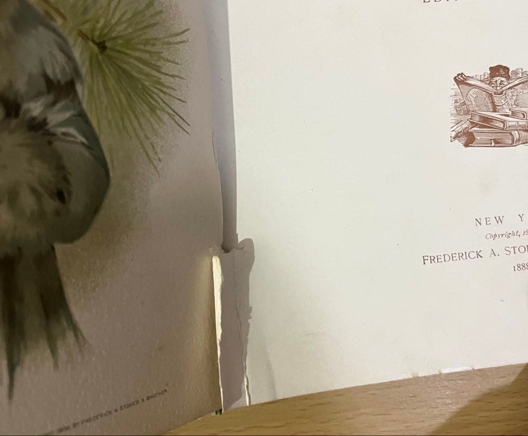 N o413入手困難 希少 アンティーク 洋書 絵本 ビクトリアン 児童書 童謡