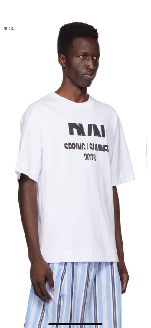 DRIES VAN NOTEN 2023年春夏 Tシャツ　Lサイズ　再々値下げ