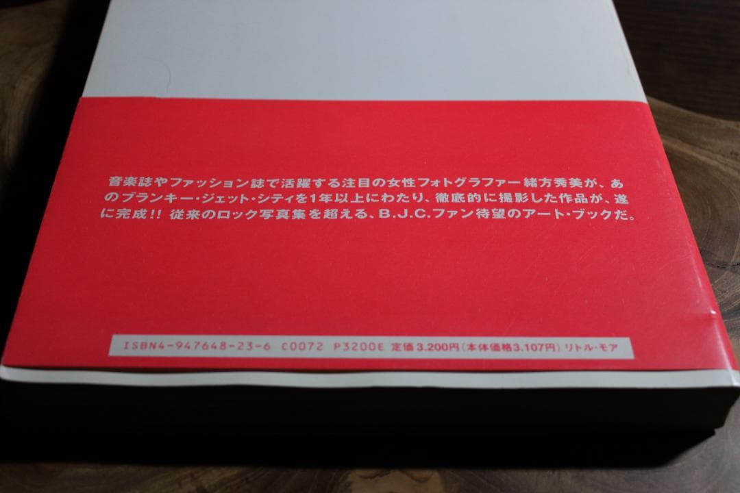 BLANKEY JET CITY ブランキー ジェット シティ 写真集 緒方秀美