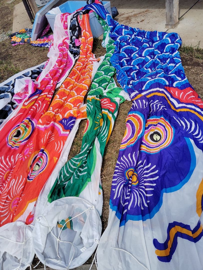 鯉のぼり大型8m 7m 6m 5m 4m カラフルな鯉のぼり 6点セット