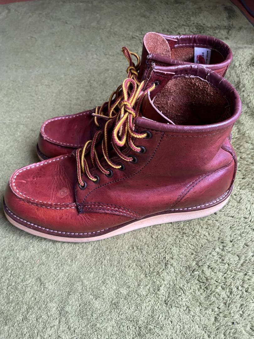 レッドウイング　875 羽タグ