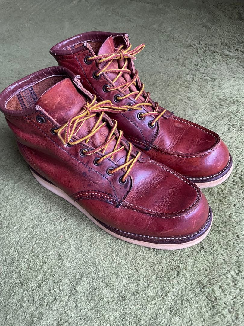 レッドウイング　875 羽タグ