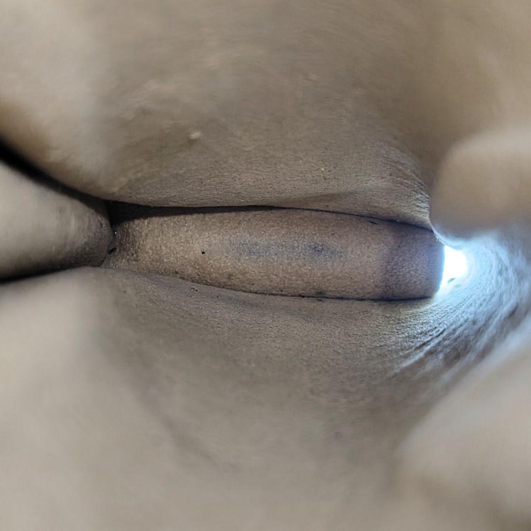 ルイヴィトン M62962 モノグラム エテュイリュネットサーンプル 眼鏡ケース