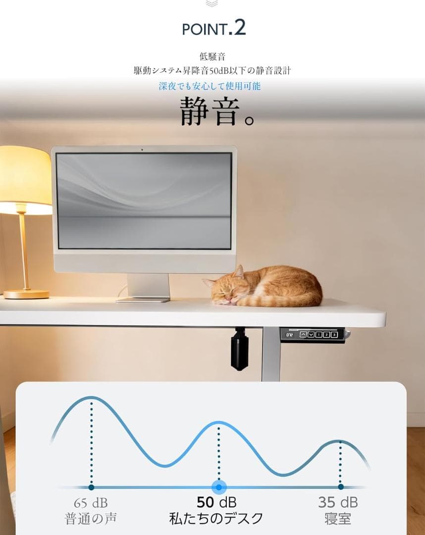 昇降デスク 電動 昇降式デスク 幅100cm 奥行60cm 上下昇降