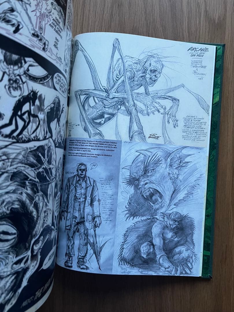 Swamp Thing Absolute 2冊まとめ(Alan Moore)