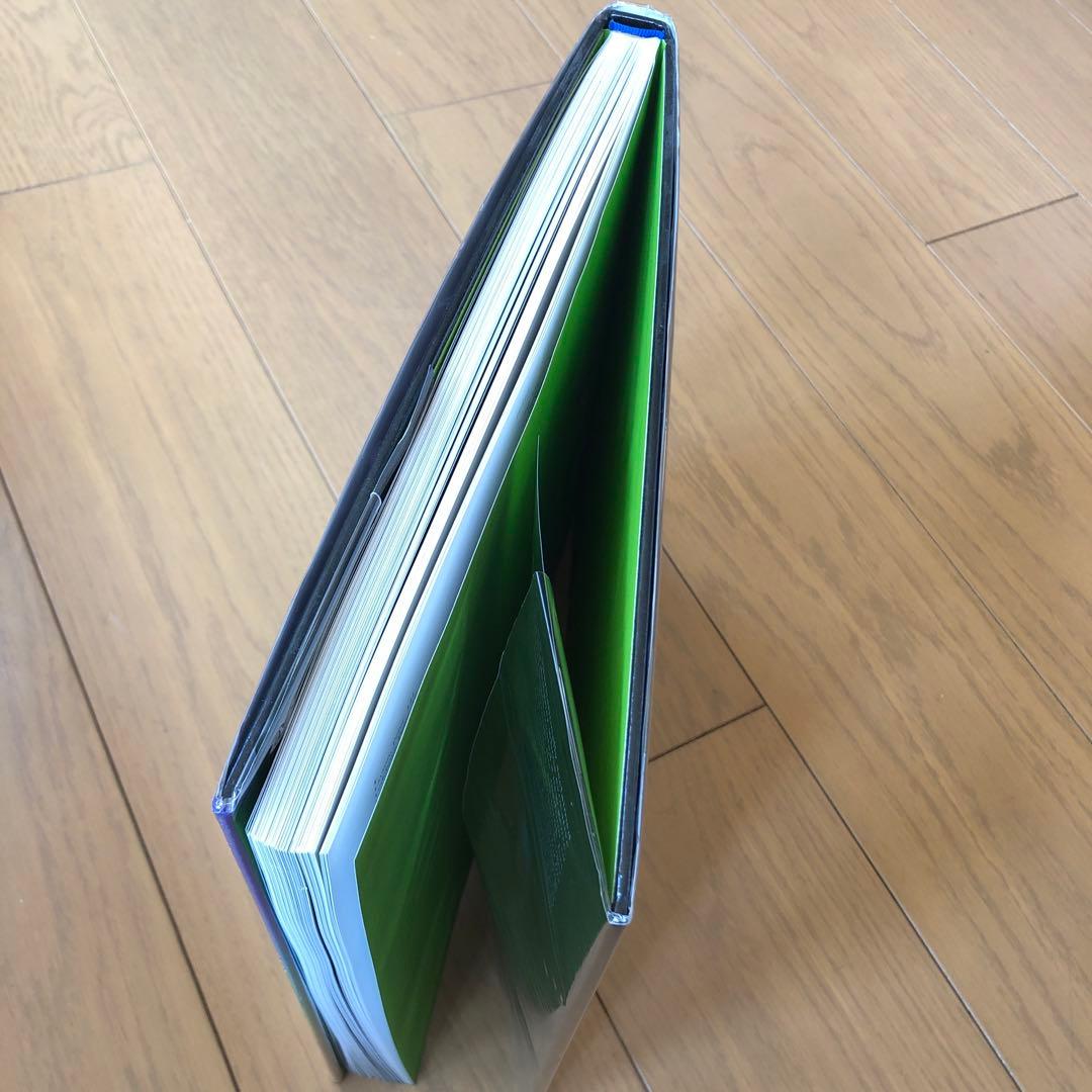 ロジャー・ディーン Magnetic Storm 洋書