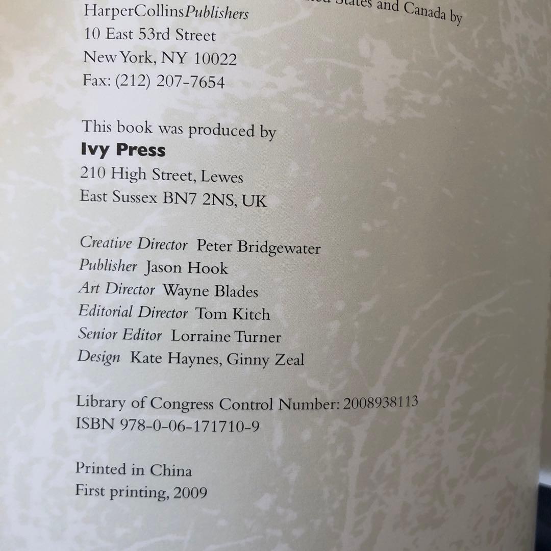 ロジャー・ディーン Magnetic Storm 洋書