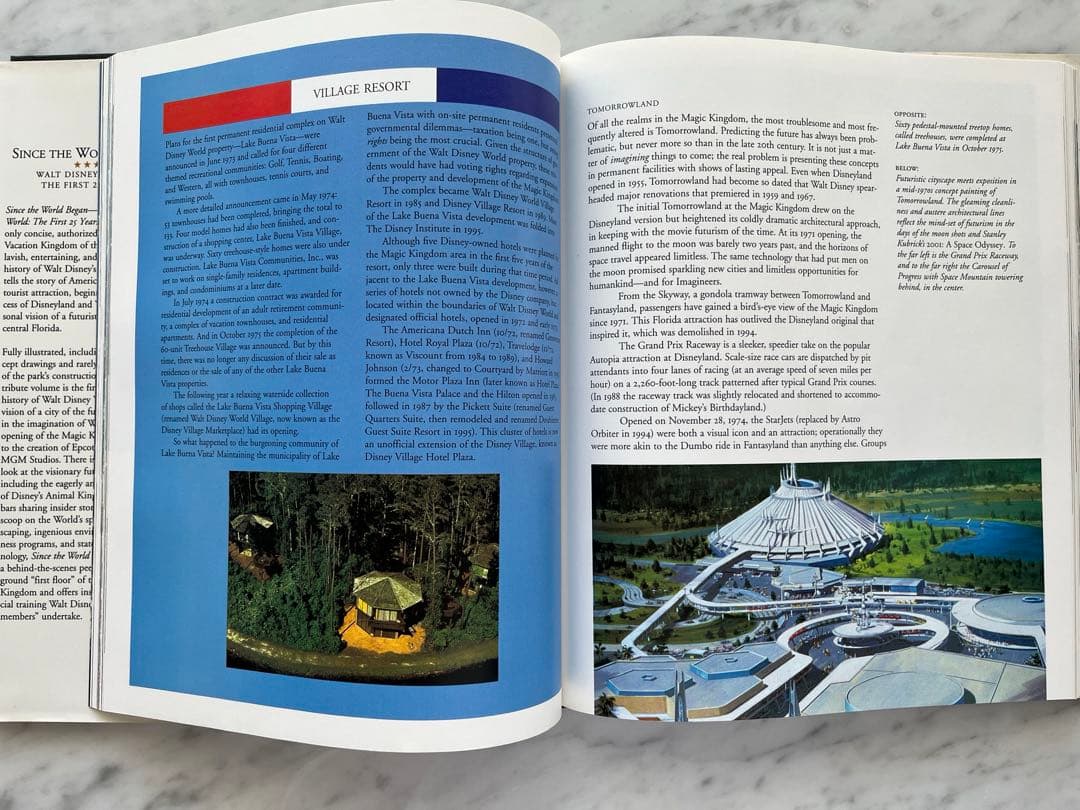 希少！ディズニーワールド25周年記念写真集