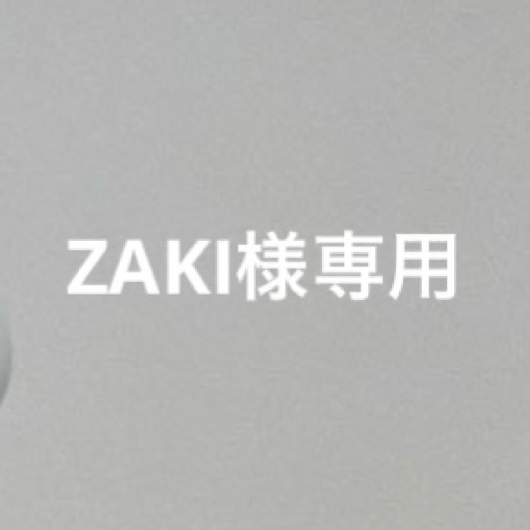 イヤホン ZAKI