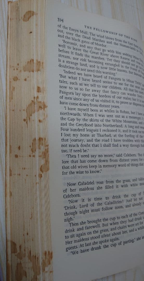 洋書 THE LORD OF THE  RING