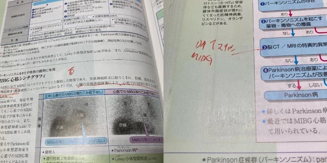 病気がみえる　10冊セット